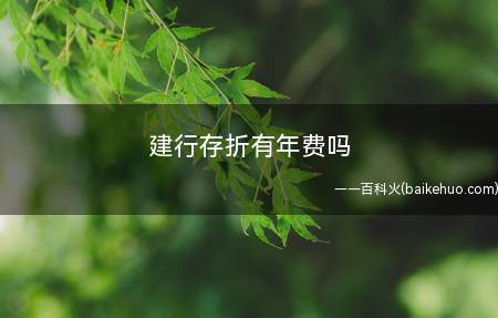 建行存折有年费吗