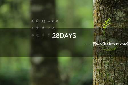 28DAYS是什么意思