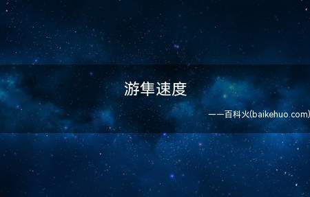 游隼速度