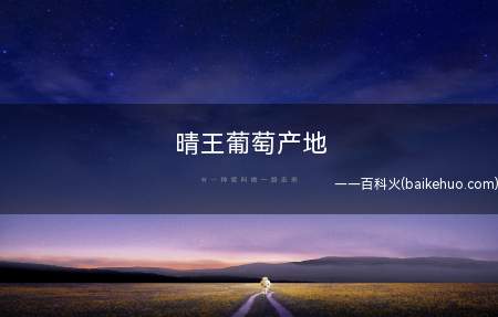 晴王葡萄产地