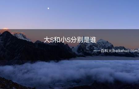 大S和小S分别是谁
