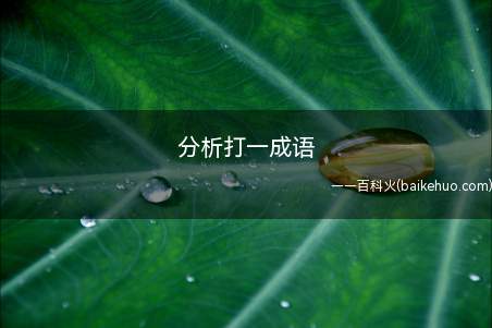 分析打一成语