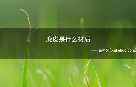 麂皮是什么材质