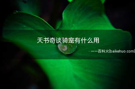天书奇谈骑宠有什么用