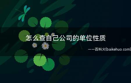 怎么查自己公司的单位性质