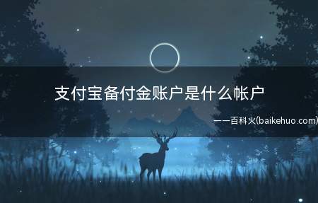 支付宝备付金账户是什么帐户
