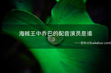 海贼王中乔巴的配音演员是谁