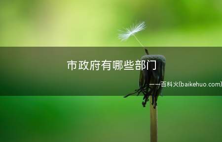 市政府有哪些部门