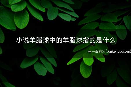 小说羊脂球中的羊脂球指的是什么
