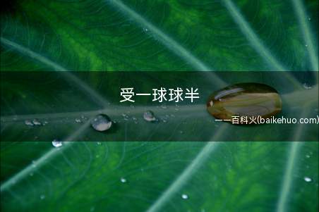 受一球球半是什么意思