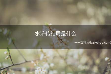水浒传结局是什么