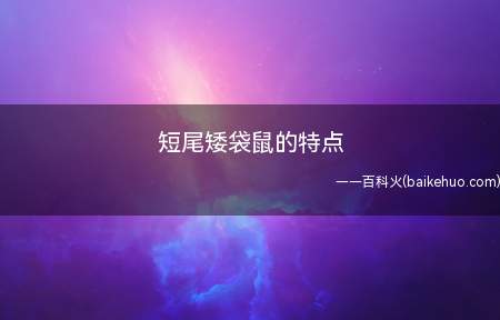 短尾矮袋鼠的特点
