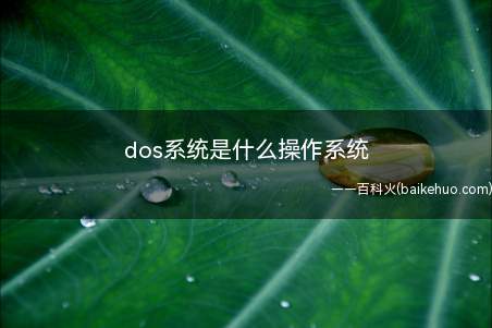 dos系统是什么操作系统