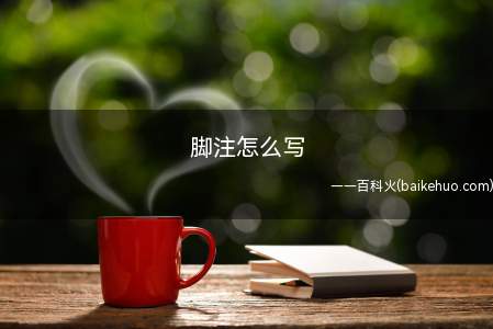 脚注怎么写 写脚注方法