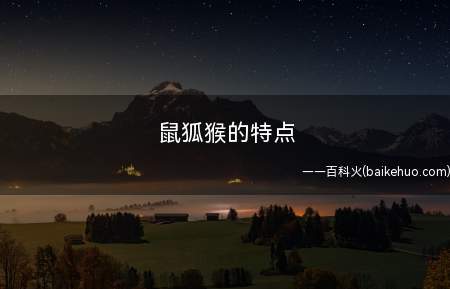 鼠狐猴的特点