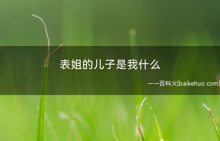 表姐的儿子是我什么