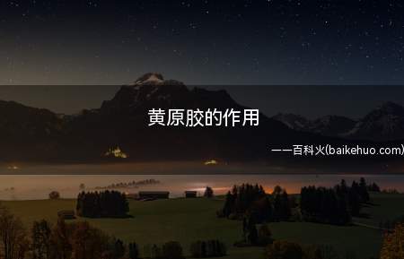 黄原胶的作用