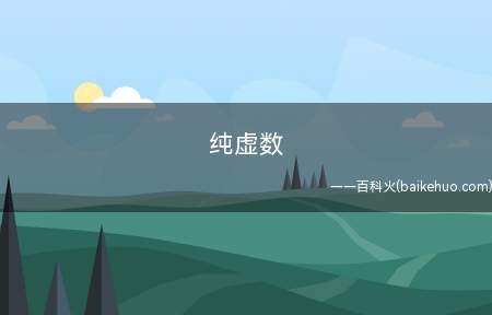 纯虚数是什么意思