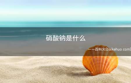 硝酸钠是什么