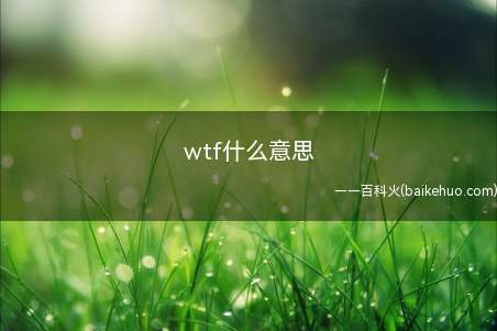 wtf什么意思