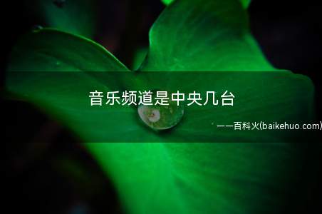 音乐频道是中央几台