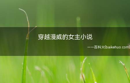 穿越漫威的女主小说