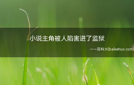 小说主角被人陷害进了监狱