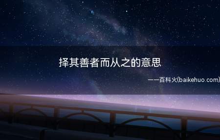 择其善者而从之的意思