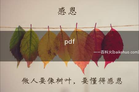 pdf是什么意思通俗讲