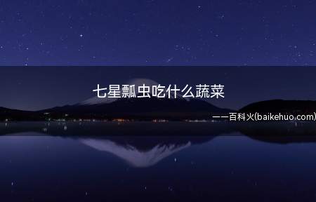七星瓢虫吃什么蔬菜
