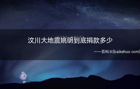 汶川大地震姚明到底捐款多少
