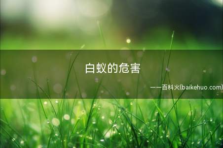 白蚁的危害