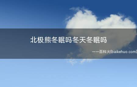 北极熊冬眠吗冬天冬眠吗