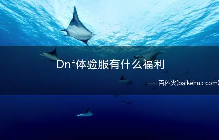 Dnf体验服有什么福利