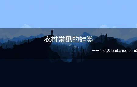 农村常见的蛙类