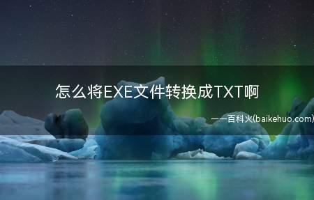 怎么将EXE文件转换成TXT啊