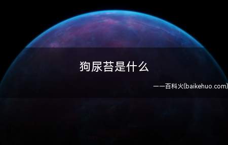 狗尿苔是什么