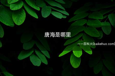 唐海是哪里