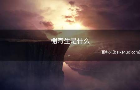榭寄生是什么