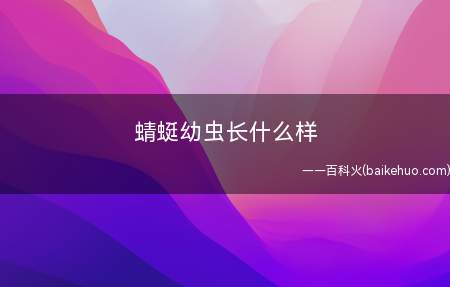 蜻蜓幼虫长什么样