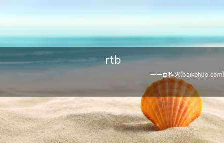 rtb是什么意思