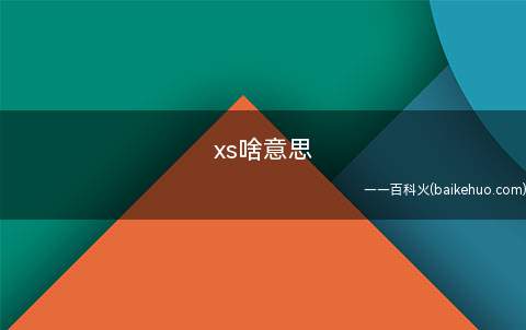 xs啥意思