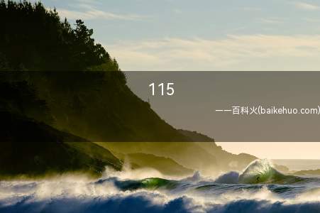 115是什么意思啊