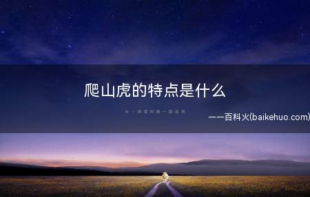 爬山虎的特点是什么