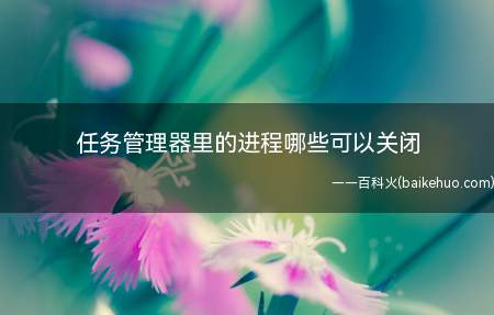 任务管理器里的进程哪些可以关闭