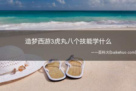 造梦西游3虎丸八个技能学什么