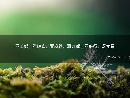 亚美蝶,雅蠛蝶,亚麻跌,雅咩蝶,亚麻得,呀卖呆