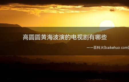 高圆圆黄海波演的电视剧有哪些