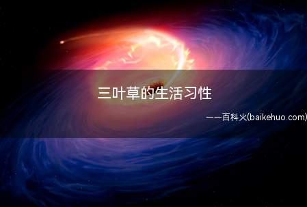 三叶草的生活习性