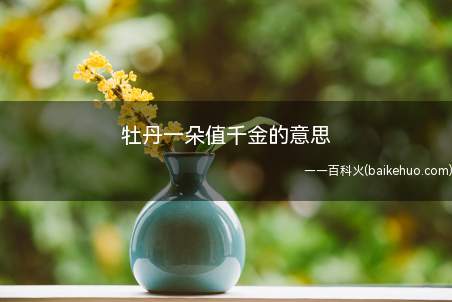 牡丹一朵值千金的意思